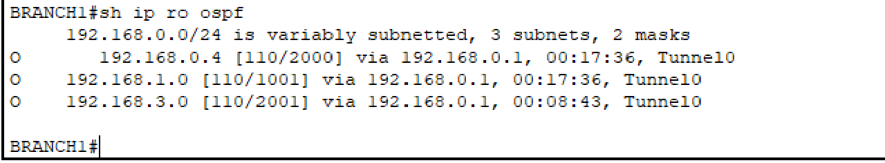 Show IP Route from OSPF BRANCH 1
