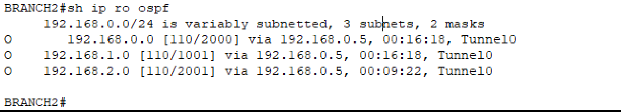 Show IP Route from OSPF BRANCH 2
